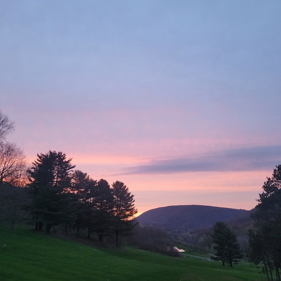 Meet your Posher, Sommer - Picture 5 of 5